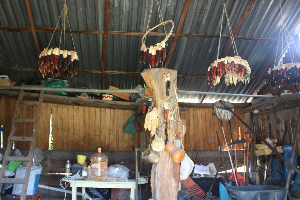 Full Xochimilco “Xochitl” 10