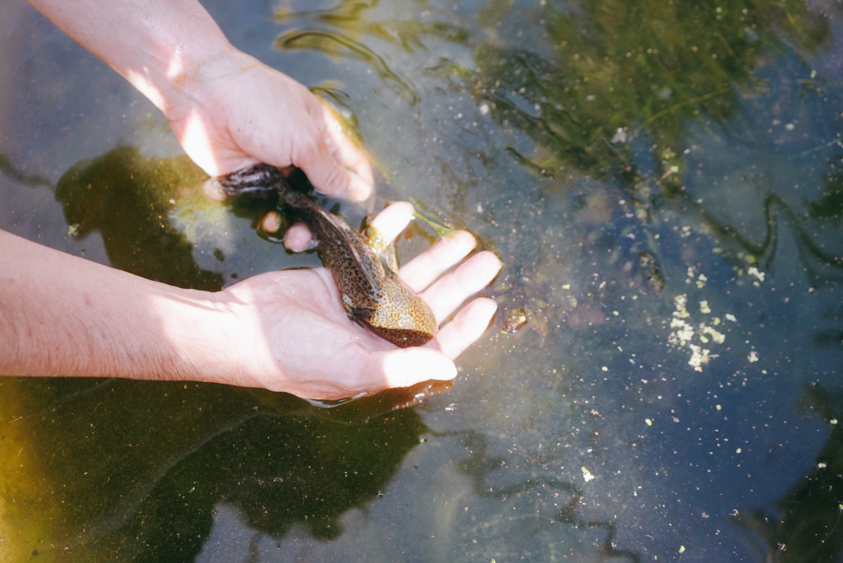 Full Xochimilco “Xochitl” 11