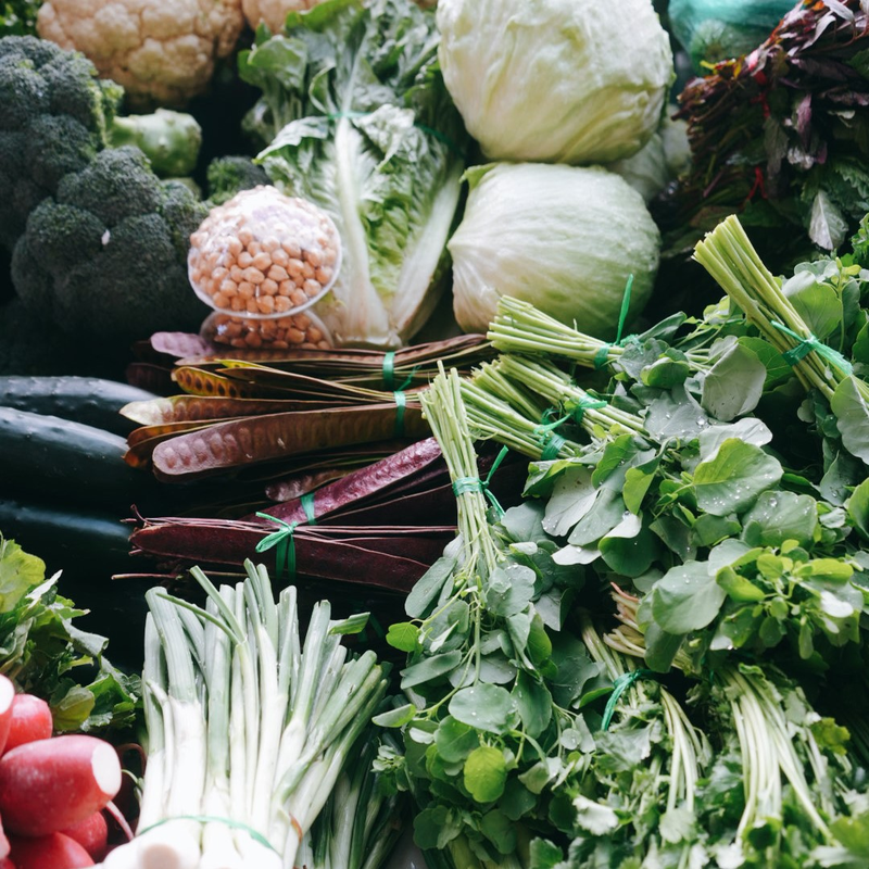 Full Xochimilco “Xochitl” 12