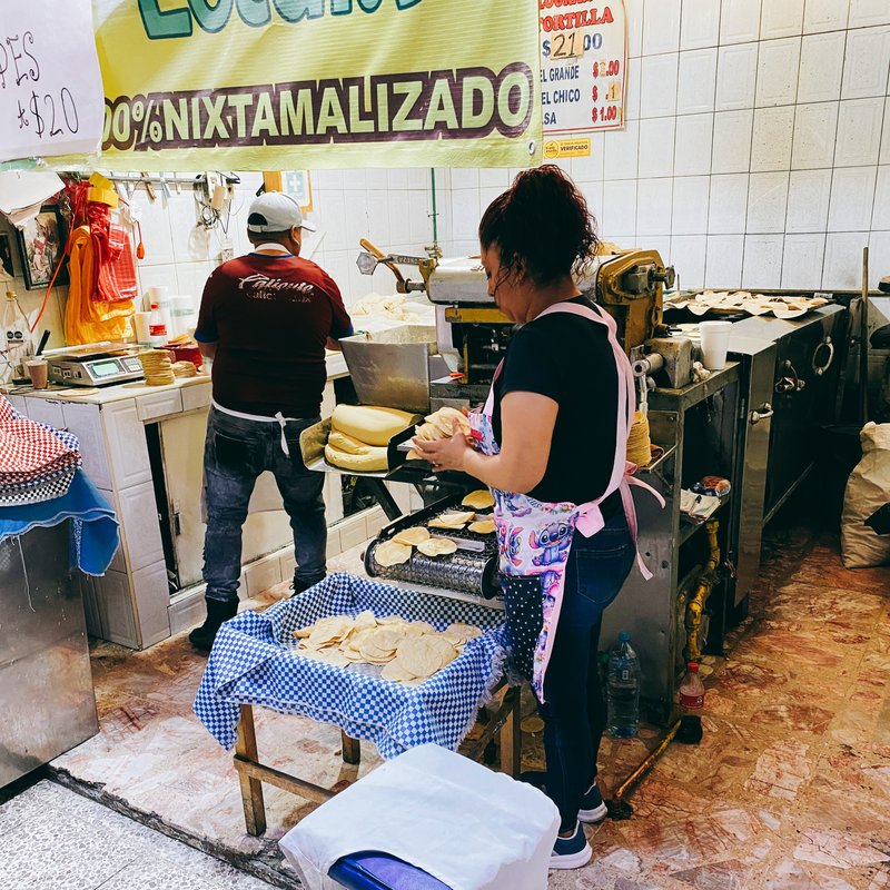 Full Xochimilco “Xochitl” 16