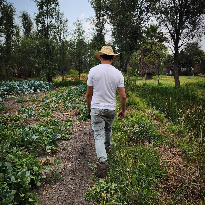 Full Xochimilco “Xochitl” 18