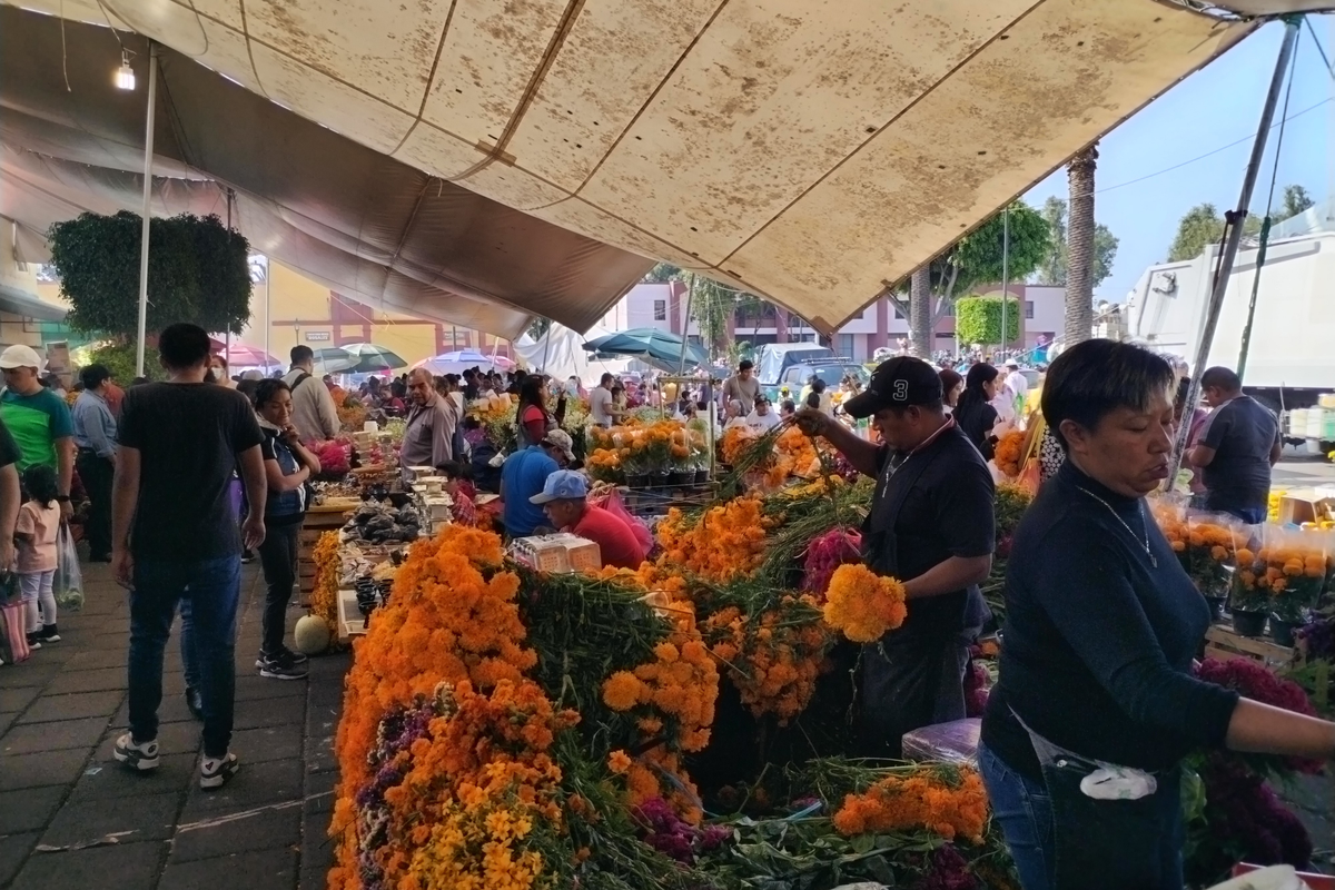 Full Xochimilco “Xochitl” 2