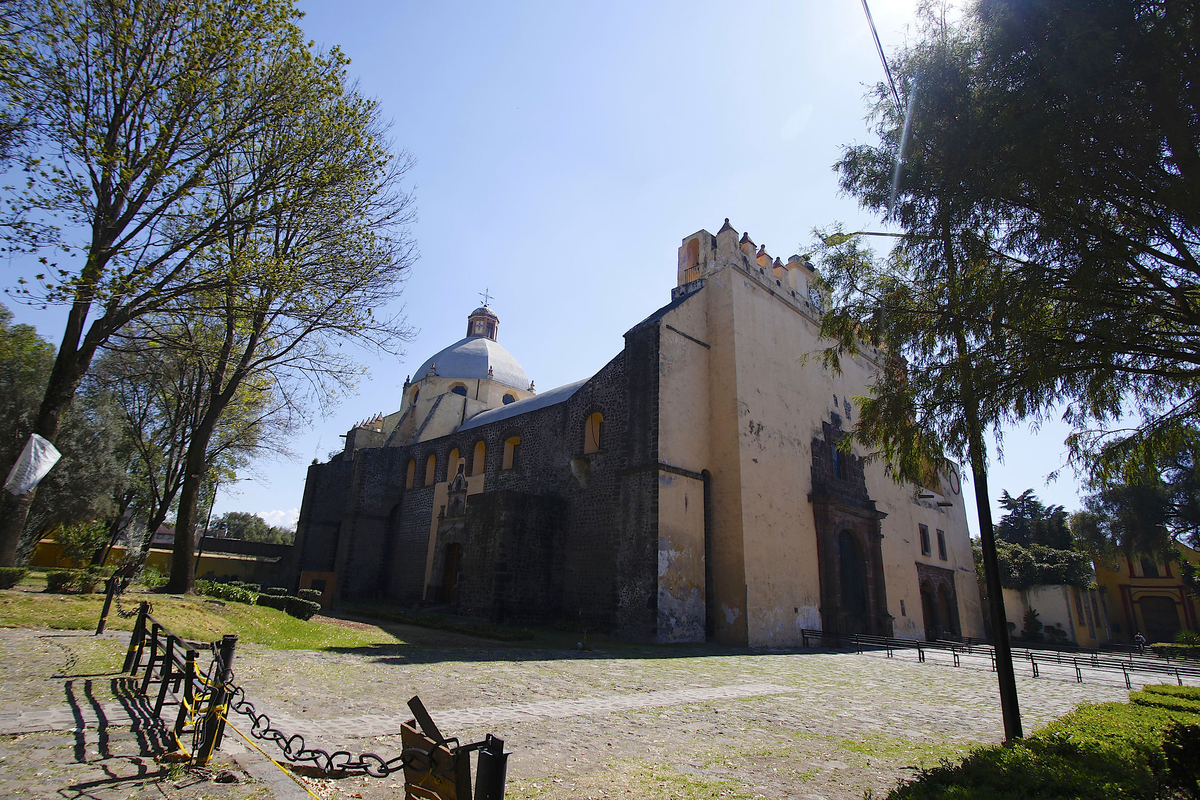 Full Xochimilco “Xochitl” 23