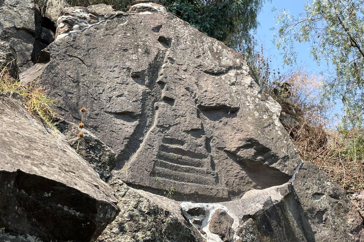 Full Xochimilco “Xochitl” 25