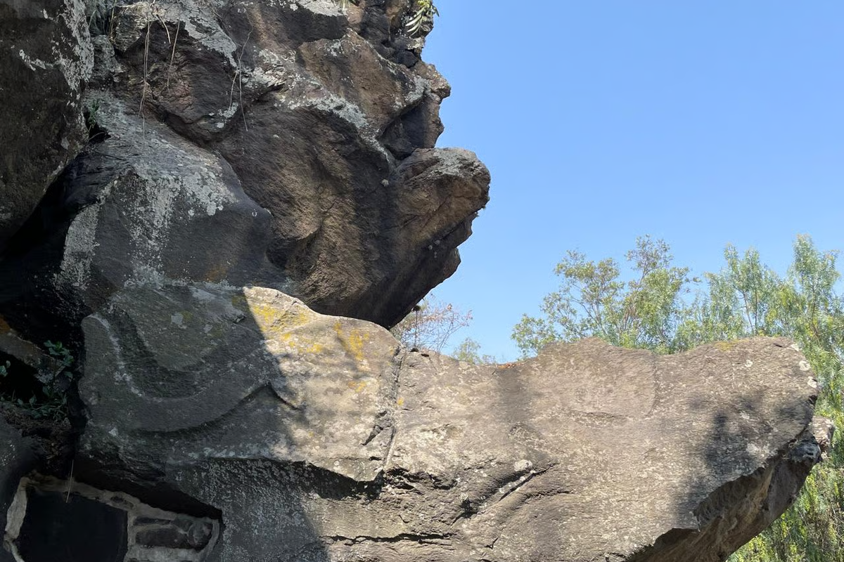 Full Xochimilco “Xochitl” 28