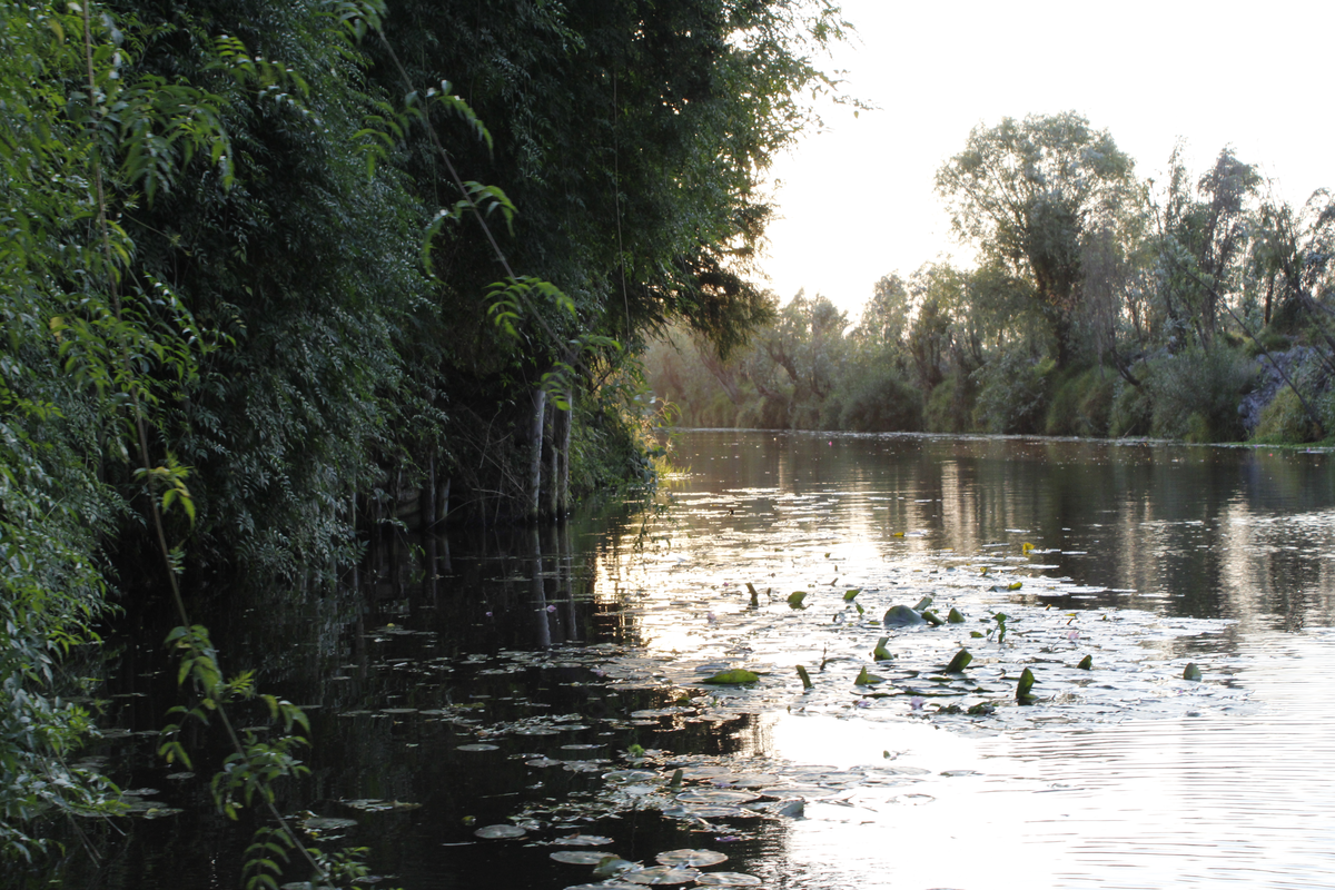 Full Xochimilco “Xochitl” 30