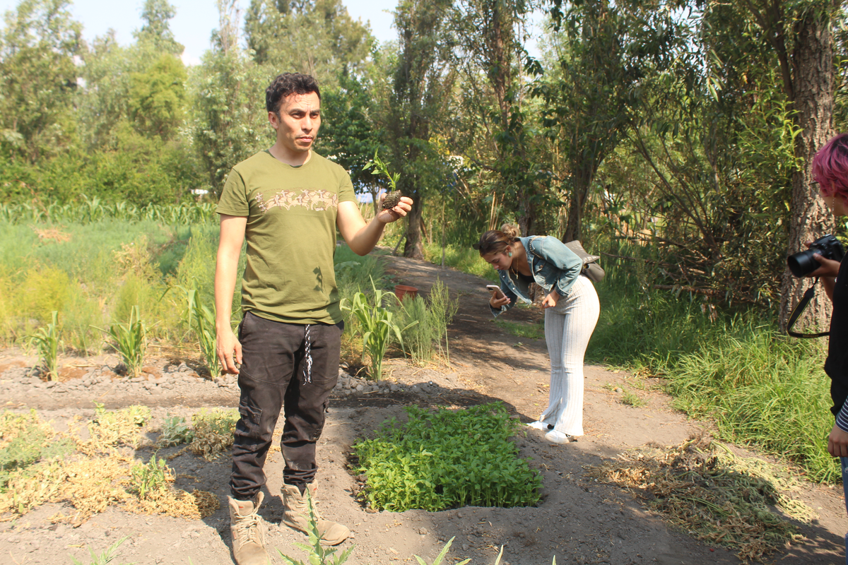 Full Xochimilco “Xochitl” 4