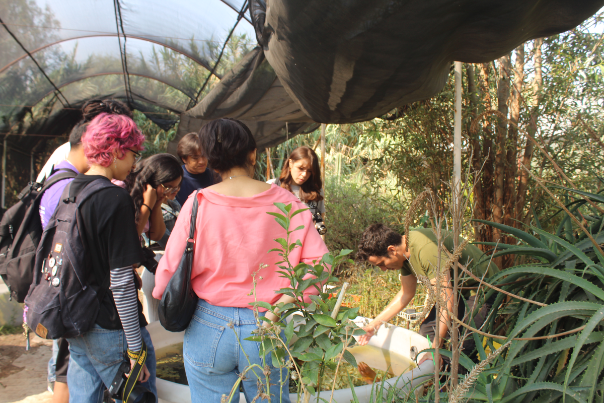 Full Xochimilco “Xochitl” 7