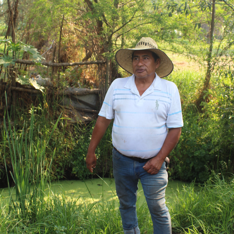 Full Xochimilco “Xochitl” 8