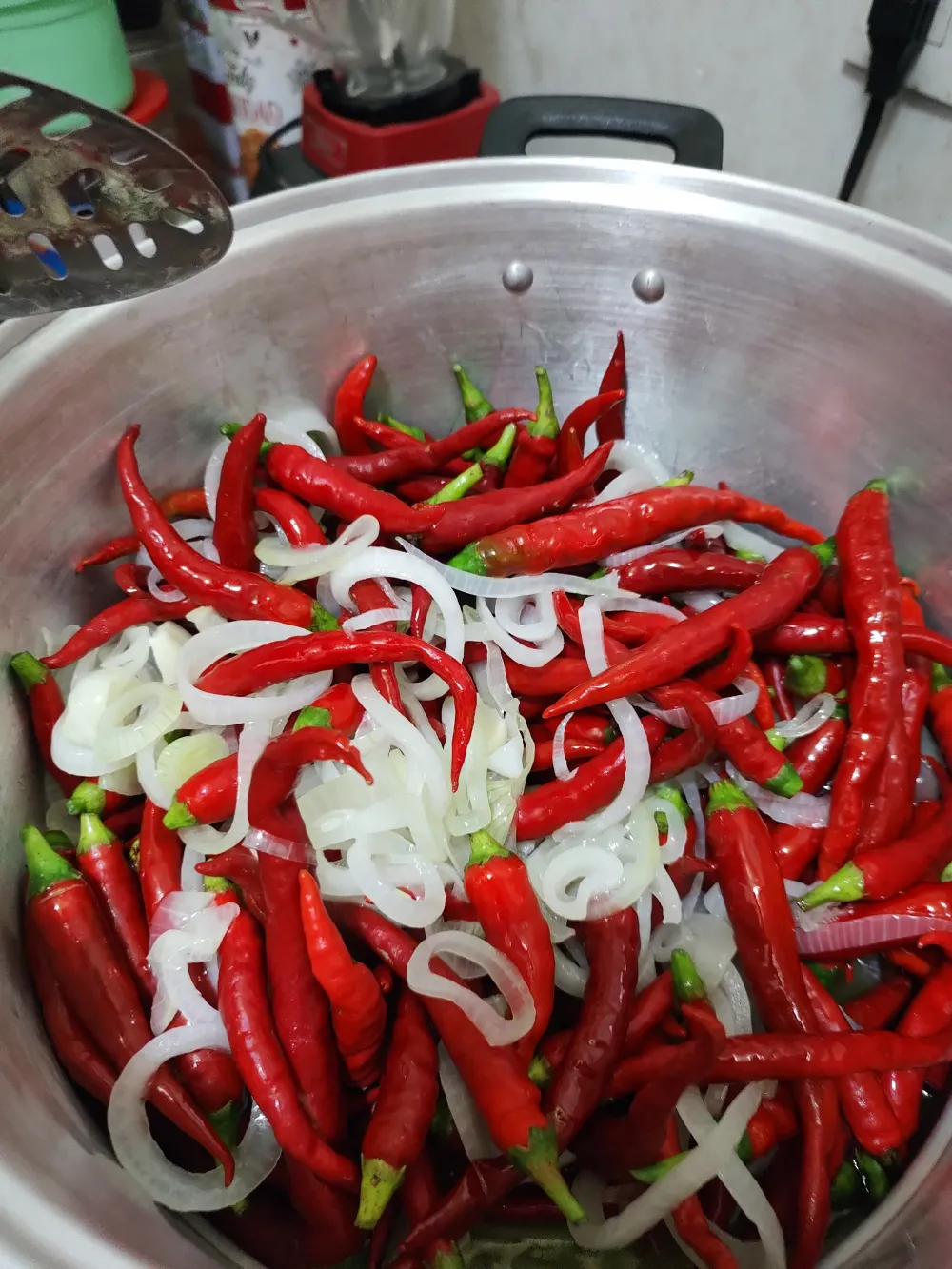 mexico Chiles rojos y cebolla en una olla de cocina tradicional